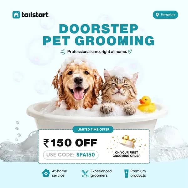 Pet Grooming — Campaign creative