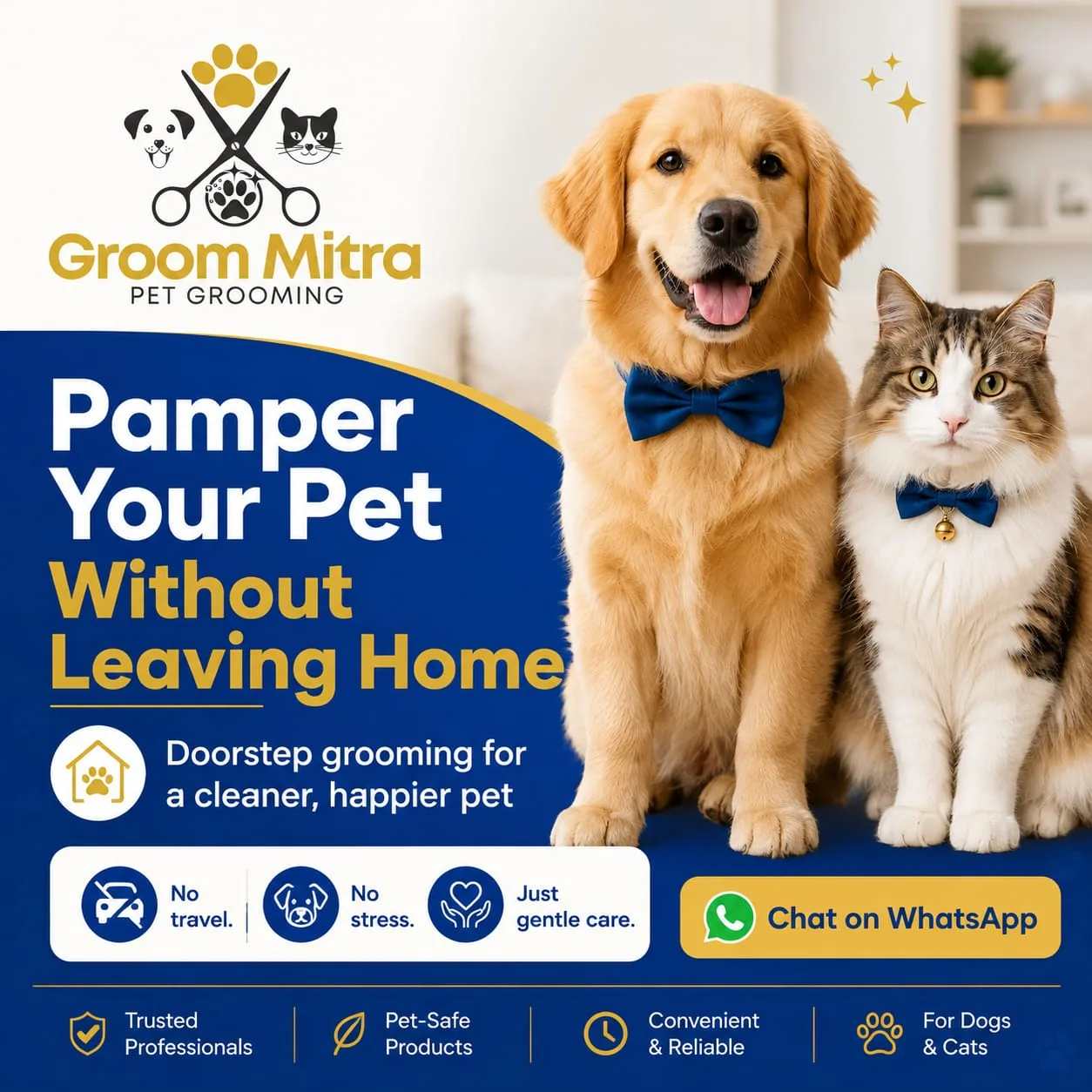 Pet Grooming — Campaign creative